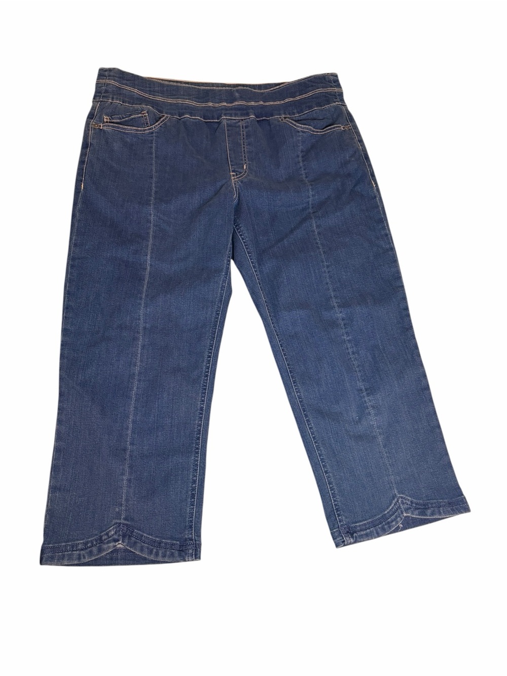 reCreation Dark Rinse Straight-Leg Cropped Stretch Pull On Jeans Plus Size 14